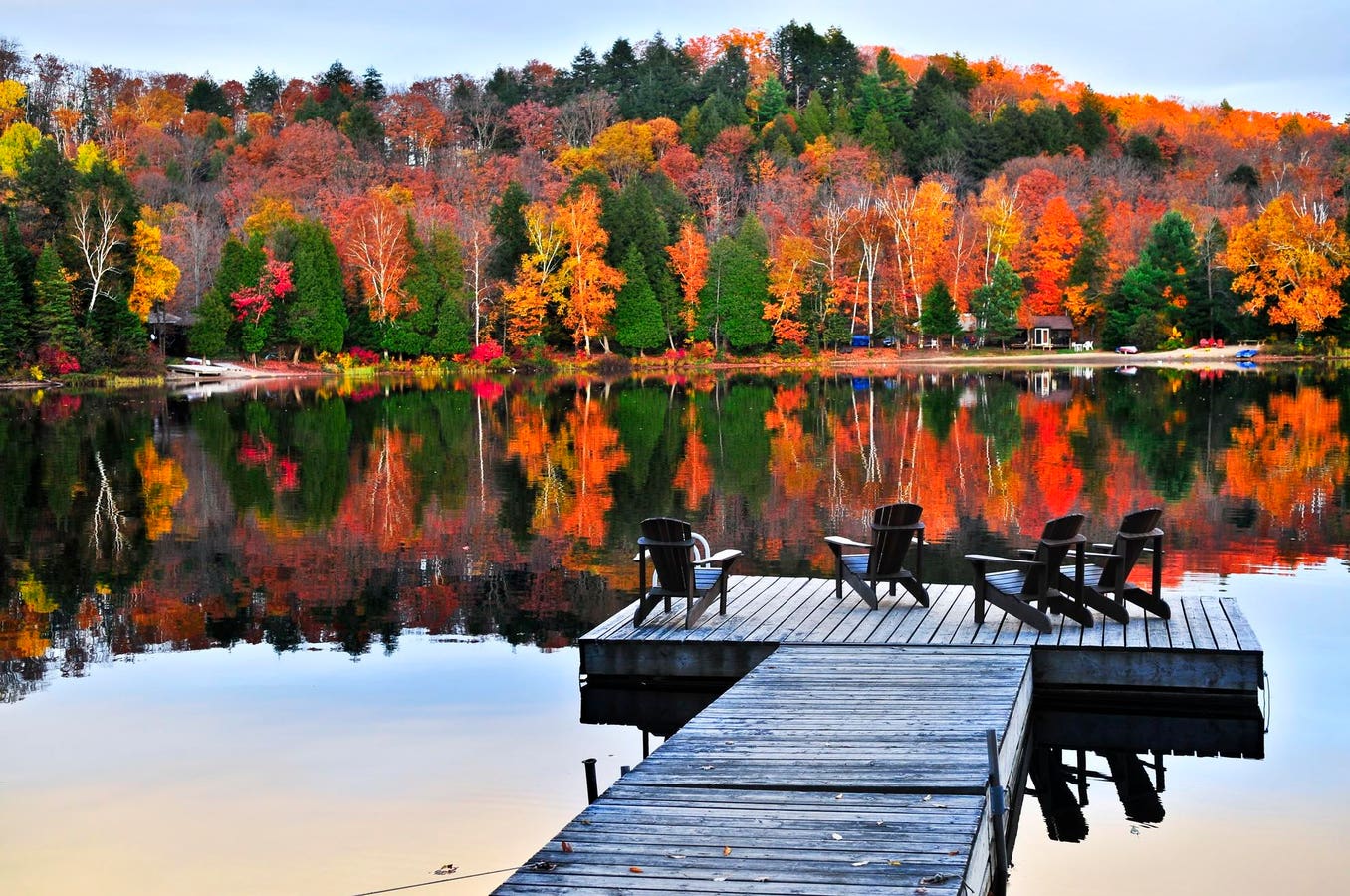 The community at Muskoka Highlands